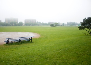 The Halifax Commons